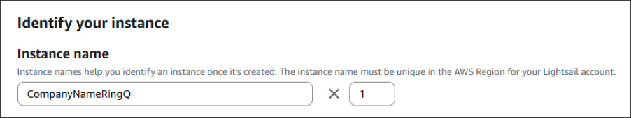 ringq identify your instance